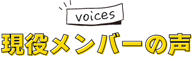 現役メンバーの声